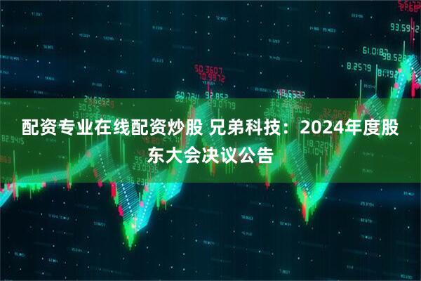 配资专业在线配资炒股 兄弟科技：2024年度股东大会决议公告