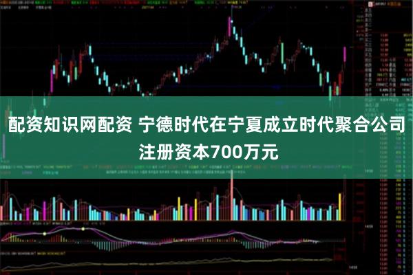 配资知识网配资 宁德时代在宁夏成立时代聚合公司 注册资本700万元